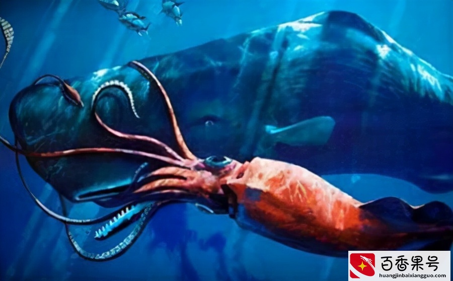 深海100000米以下生物，目前尚未发现的恐怖生物