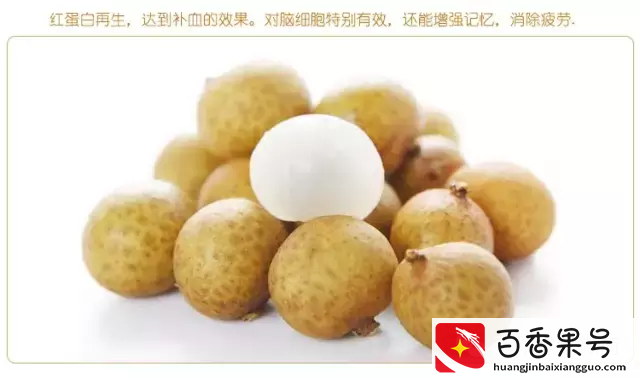 桂圆与龙眼有什么不同？！