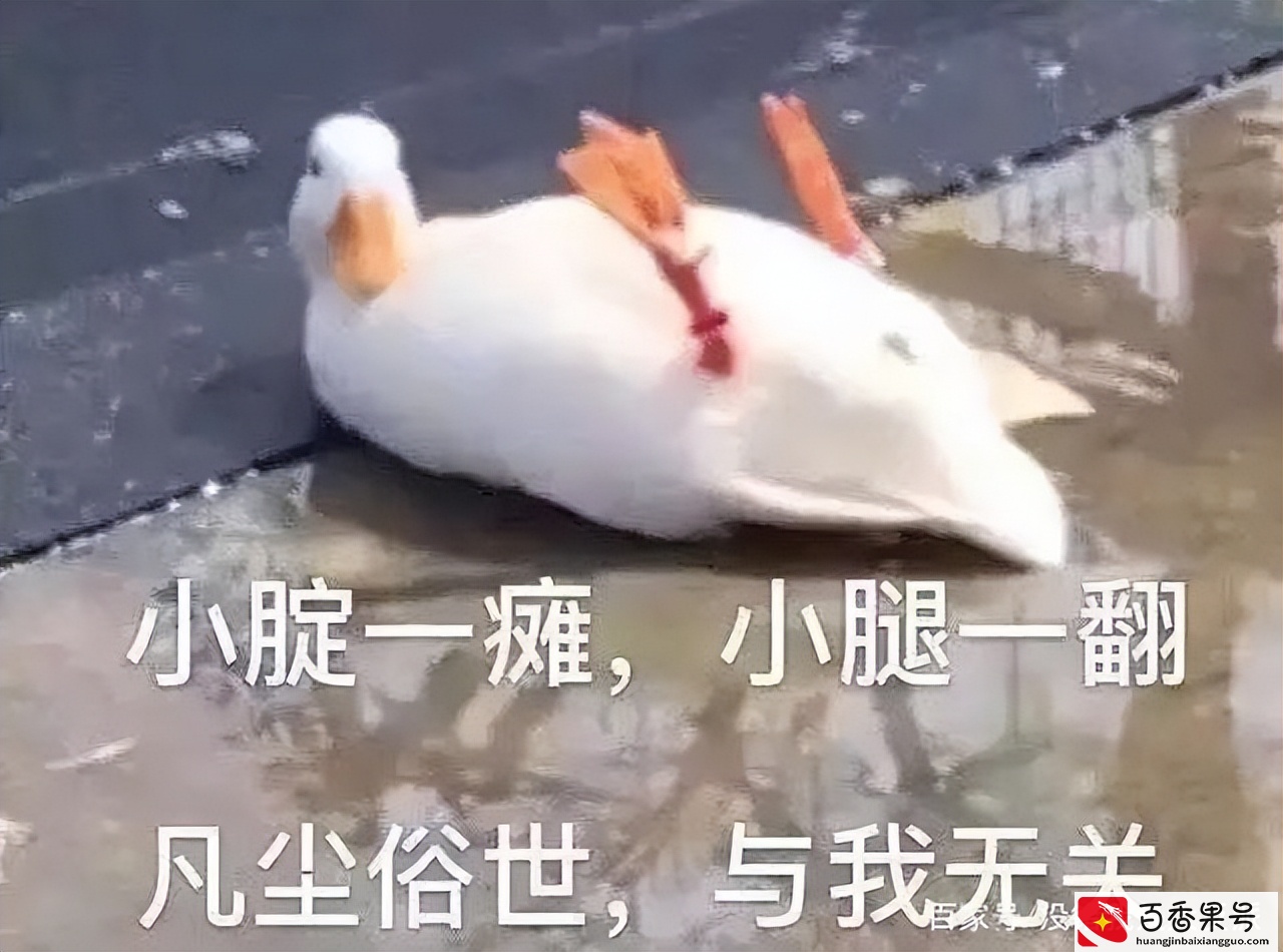 「梗知识」—“emo”是什么梗？