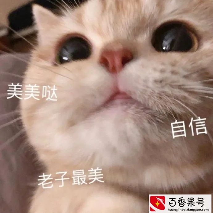 2020各省女孩长相排行榜出炉，你上榜了吗