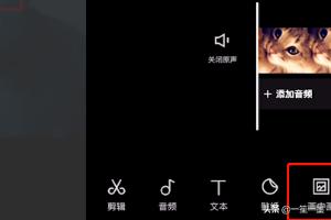 剪映怎么去水印原视频的图标