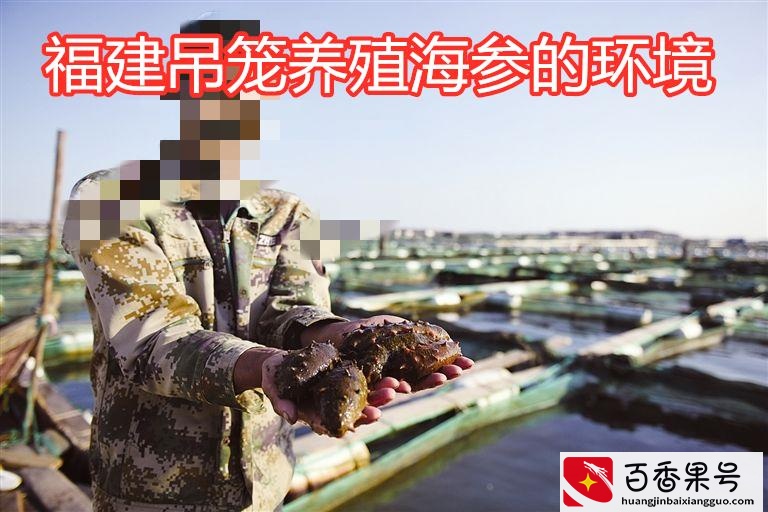 哪里的海参好？海参产地大揭秘