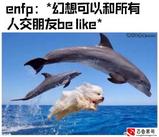 #网络热词 enfp