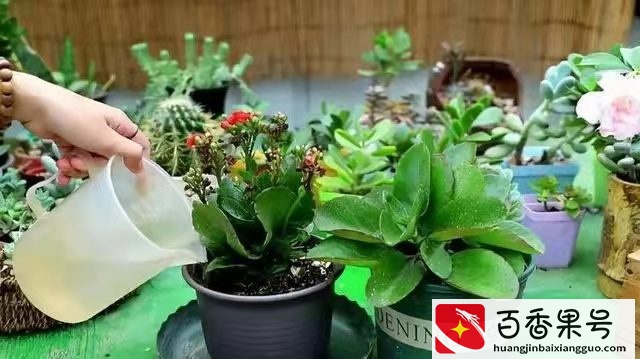 过期的牛奶还能喝吗？