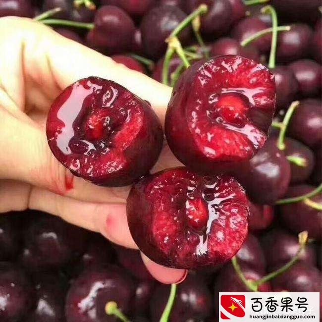 爱吃大樱桃的人要留意了，车厘子和樱桃到底有何区别？看后涨知识