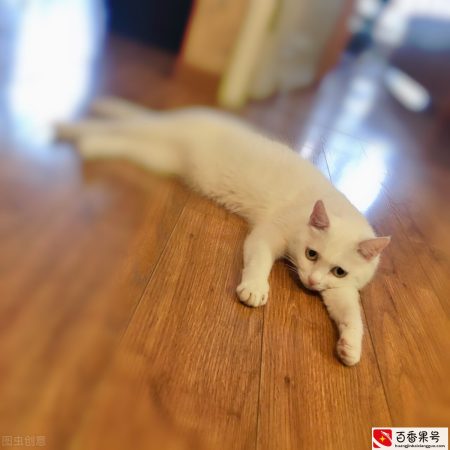 男士护肤品哪个牌子好？