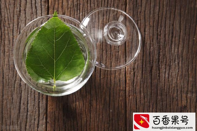 桑叶泡水喝有什么功效和作用