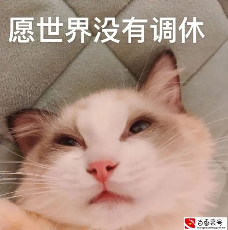 五一高速免费5天！但不注意这个问题，收取全程通行费