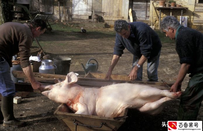 农村老人常说“早不去猪肉铺，晚不进豆腐房”，有道理吗？