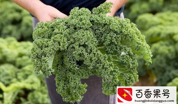 别再喝牛奶了！这19种补钙食品让你轻松补钙还吃不胖