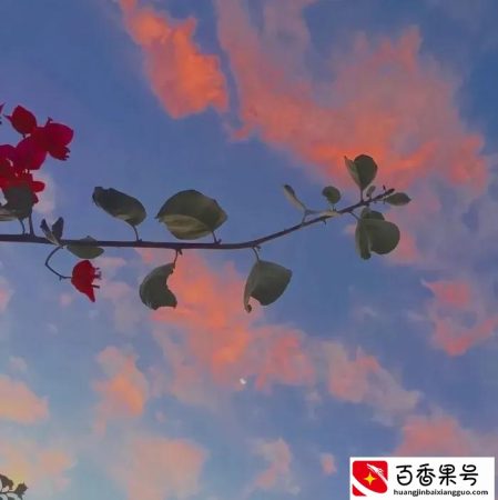 给喜欢的人的特殊备注，一般人看不懂