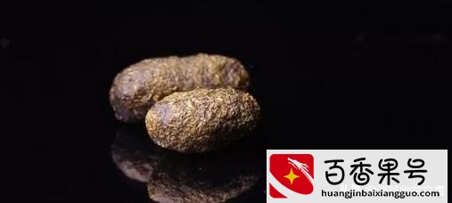 养飞鼠需要准备什么东西