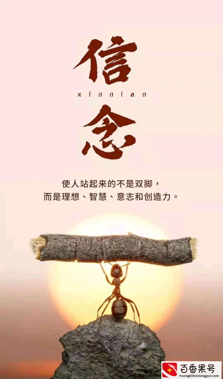 如何在半年之内做到脱胎换骨的自我重塑
