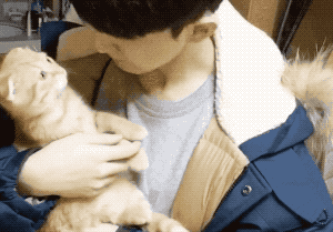 养猫的男生不是宅男就是gay?