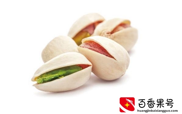 开心果是什么树的果实