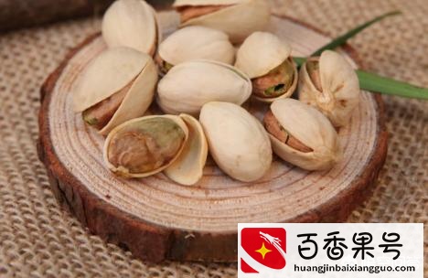 开心果是什么树的果实