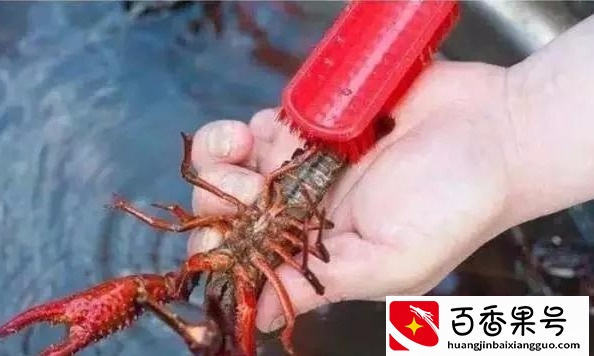 小龙虾怎么清洗，怎么杀？