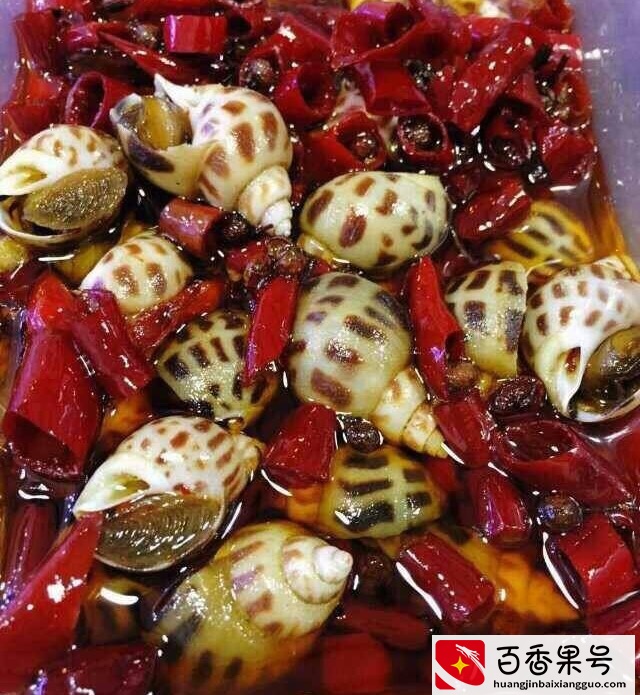 科普答疑：这么大这么大的非洲大蜗牛，到底能不能吃呀？