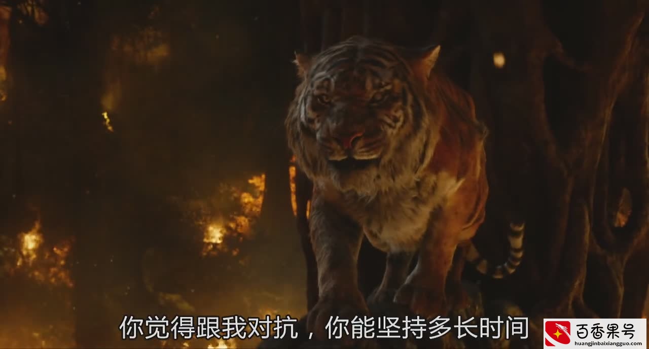 每日推荐：《奇幻森林》黑豹和老虎你觉得谁的战斗力更强！