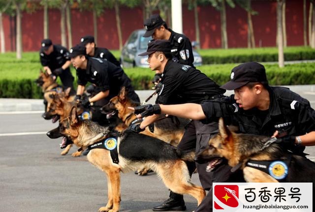 为什么农村老人说，“狗来富”？其实原因有6个