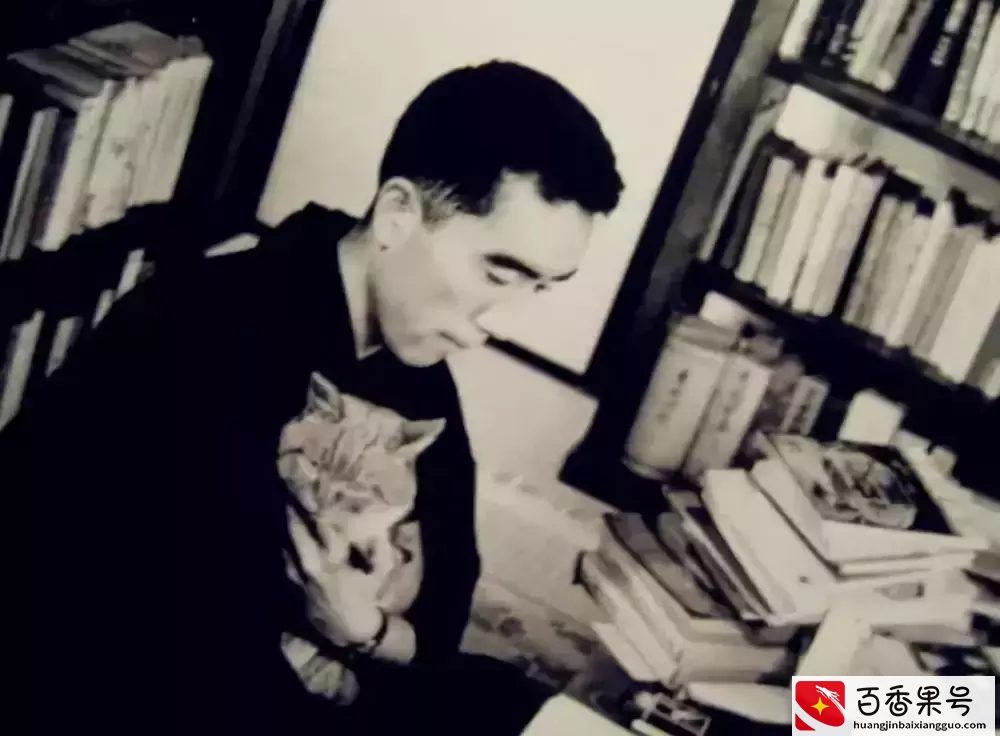 养猫的男生不是宅男就是gay?