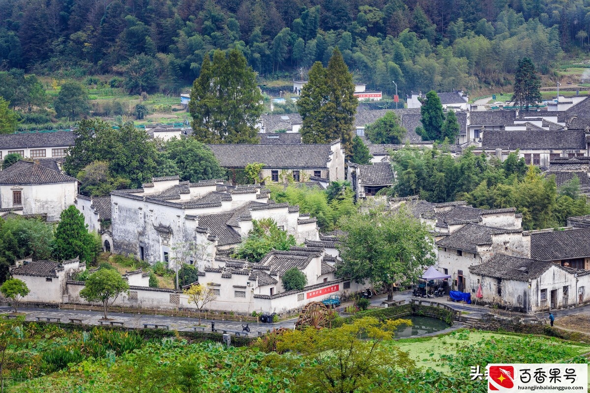 过去农村有三怕，怕野猫进门，怕大屋压小屋，怕坟头现洞，为何？