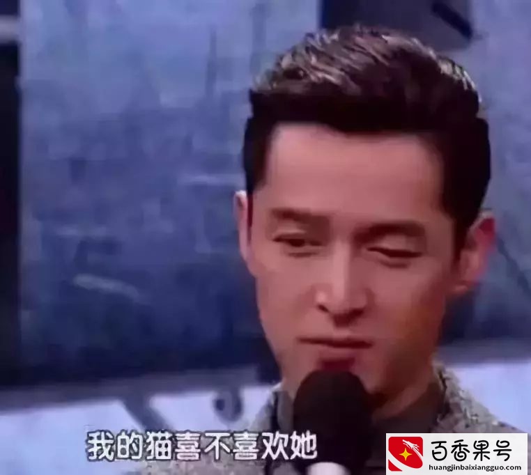 养猫的男生不是宅男就是gay?