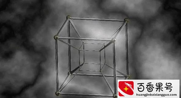 乌贼是四维生物, 比人类高级?