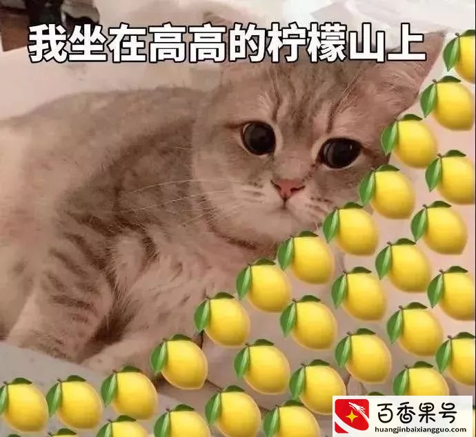 盲盒是个什么东西让人这么上瘾？