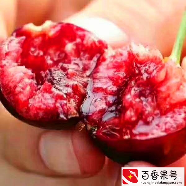 爱吃大樱桃的人要留意了，车厘子和樱桃到底有何区别？看后涨知识
