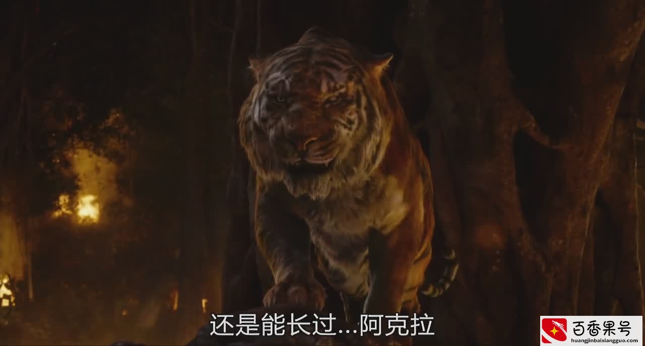 每日推荐：《奇幻森林》黑豹和老虎你觉得谁的战斗力更强！