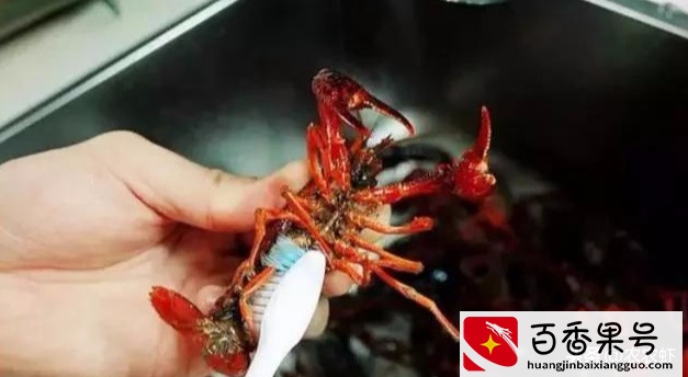 小龙虾怎么清洗，怎么杀？