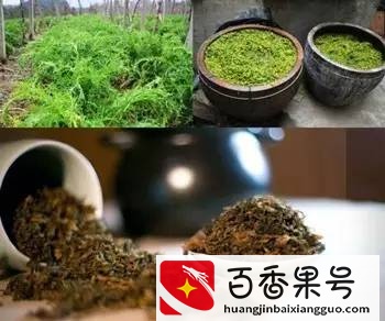 北方人想问一句：梅干菜是什么菜？