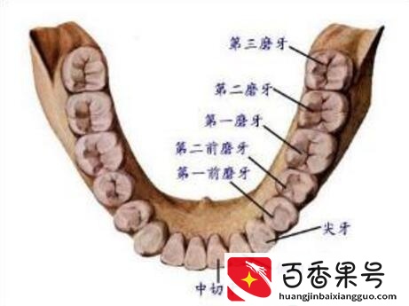 俗话说开始长智齿说明人生已经走了一半，处理不好真会半途而废