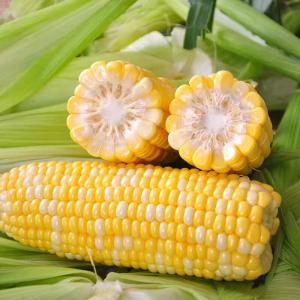 水果玉米和甜玉米到底有什么区别呢？