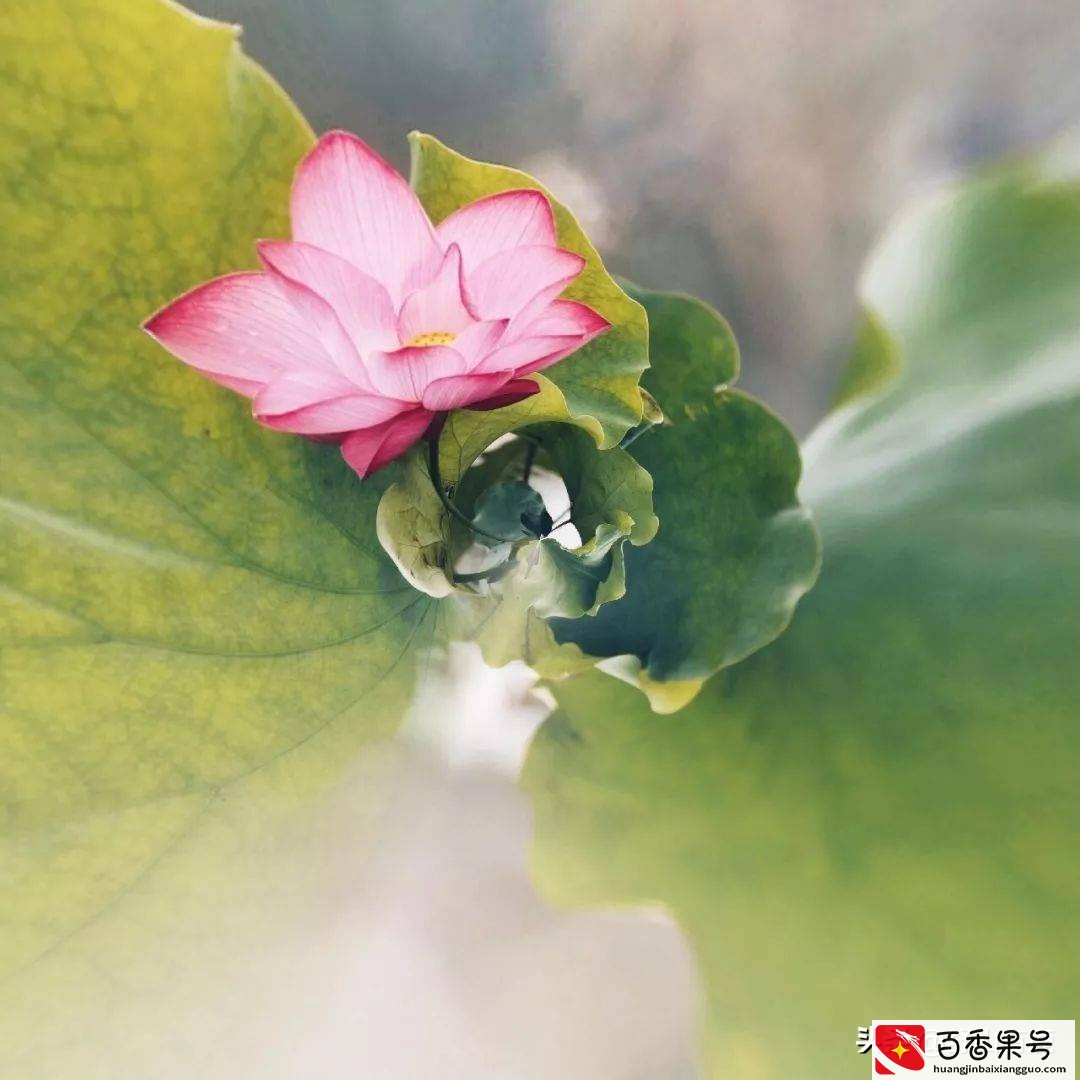 总有一天你会明白，你这一生的财富和寿命，都是有“定数”的