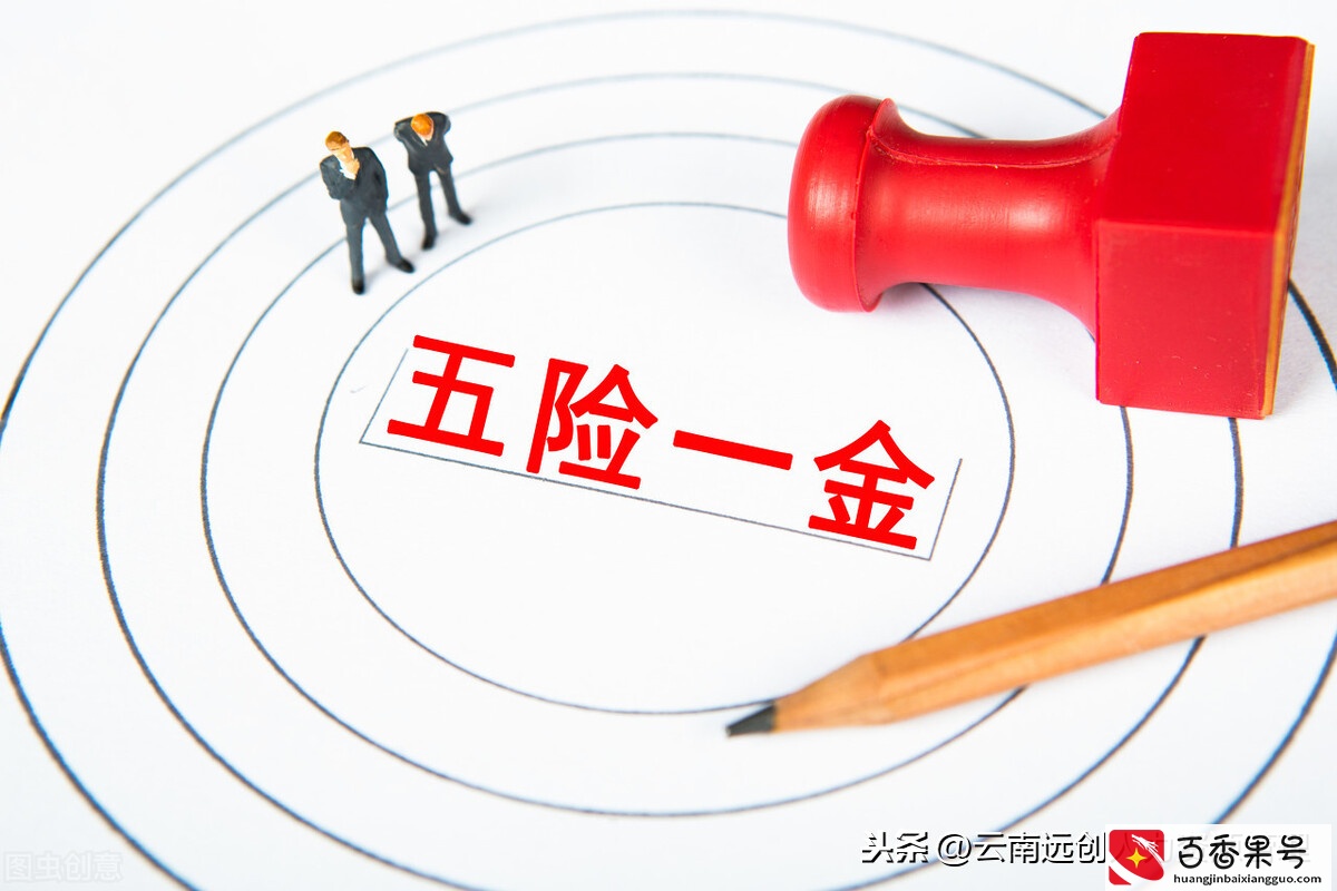 五险一金有哪些险种？哪些要自己交？