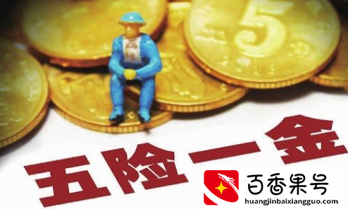 五险一金有哪些险种？哪些要自己交？