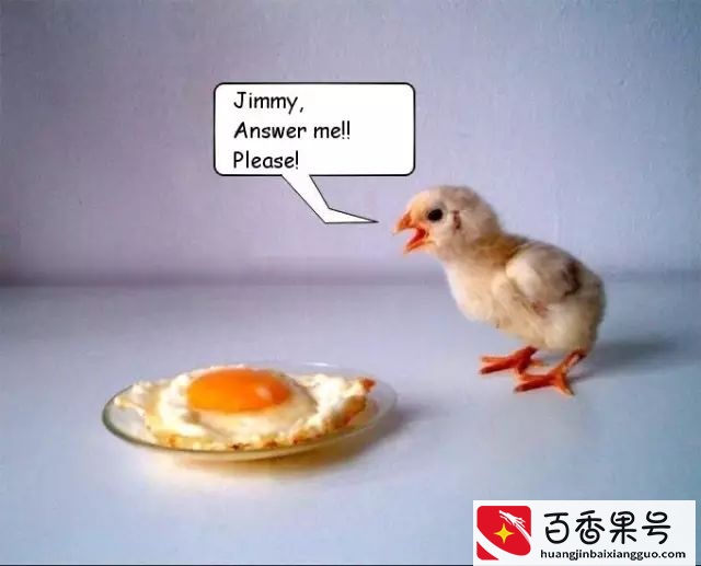 鸡蛋、牛奶、蜂蜜到底是不是素食，为什么我们不吃？