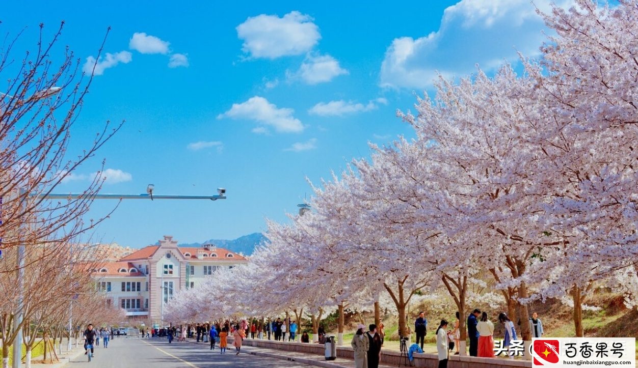 深究中国海洋大学，是如何沦为末流985的