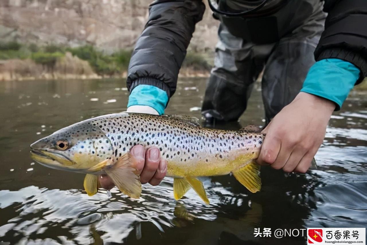 最适合现代男性的32个爱好，你有几个？