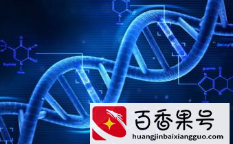 人类真能长生不老了？！基因的秘密已被发现...