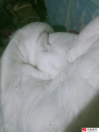 跟老板不要谈感情，如果你谈了感情，那么你就输了，而且还会输