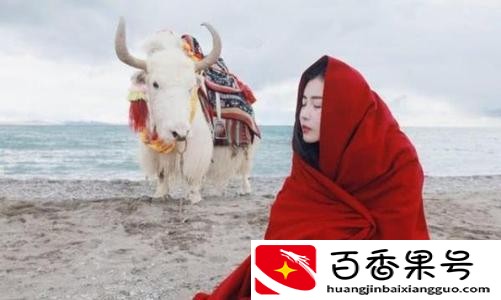 暑假去西藏合适吗