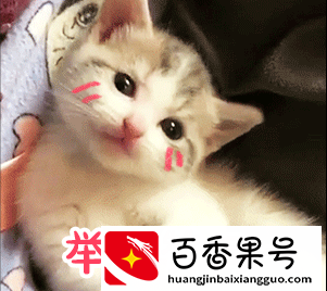 女生拍照专用的5款APP，轻松拍出你的美