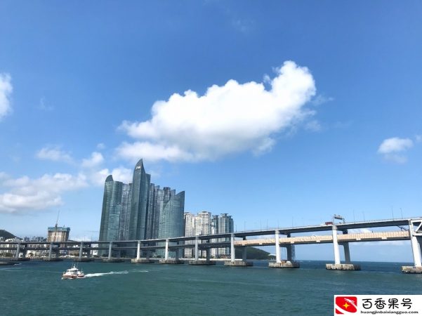 什么是韩国财阀