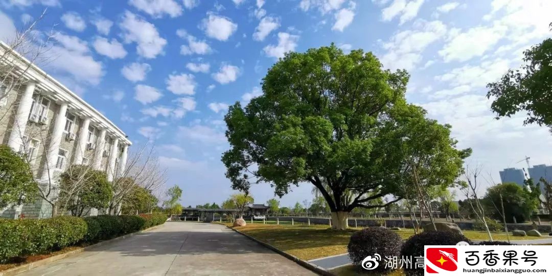 高三学生综合素质评价：学生自我陈述报告怎么写？考生怎么准备？