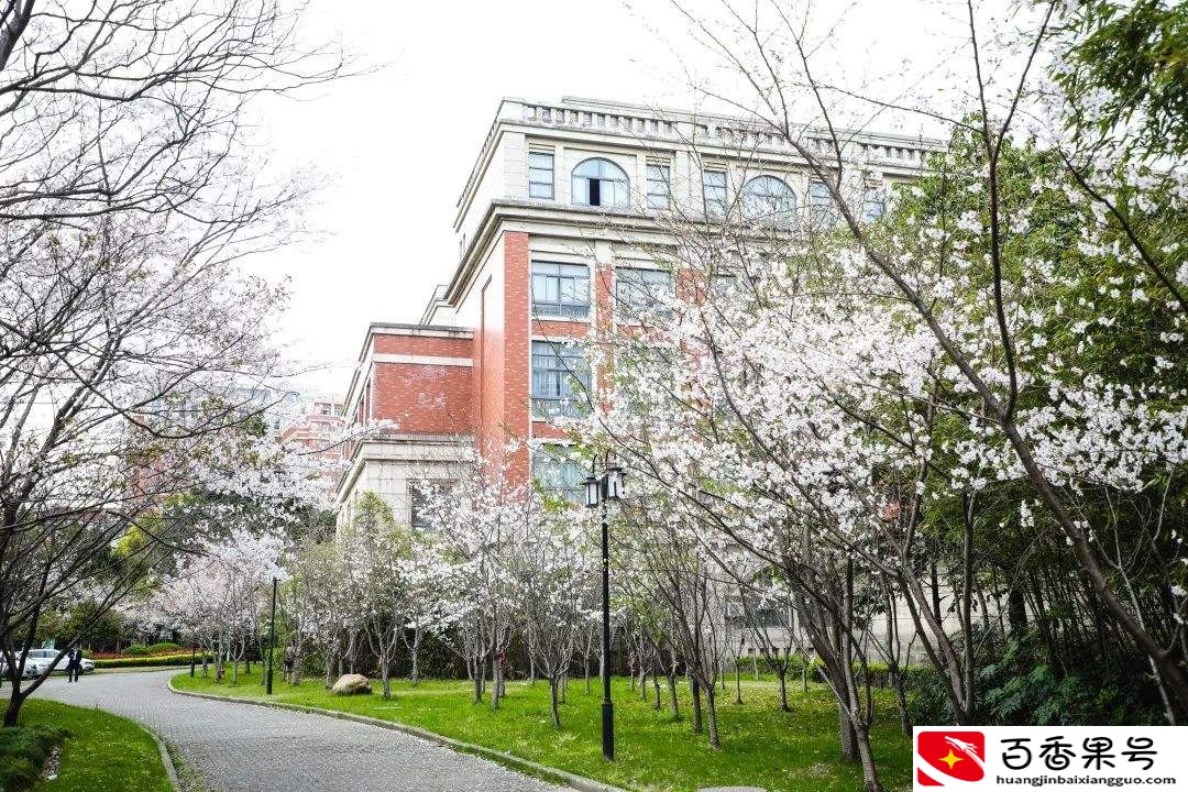 上海理工大学：看上去挺眼熟的一所高校，真正了解的人有多少？