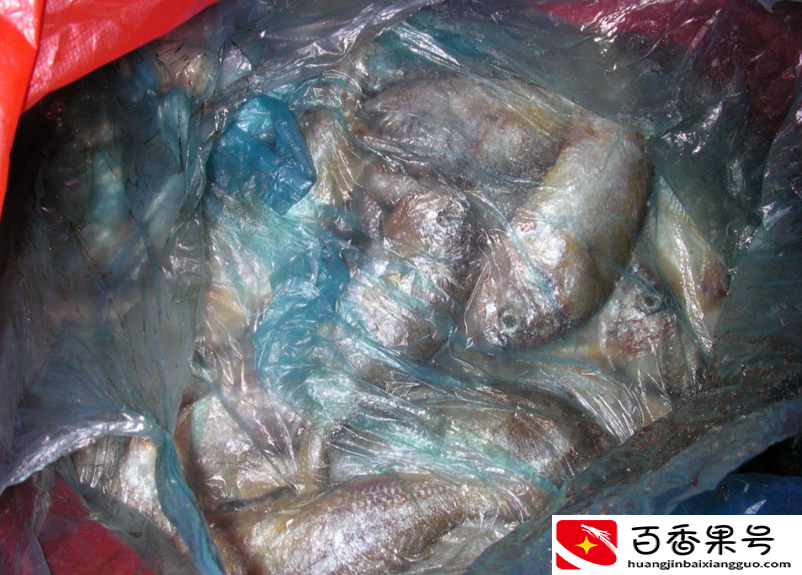 农村子女多的最大好处，看到这些，你就明白了！