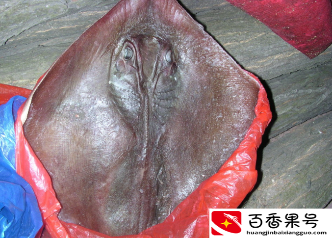 农村子女多的最大好处，看到这些，你就明白了！